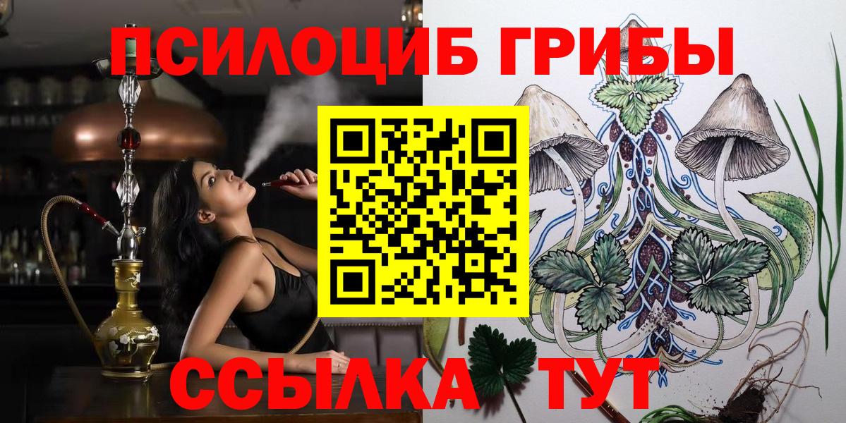 Псилоцибиновые грибы Magic Shrooms  Псилоцибиновые грибы MAGIC MUSHROOMS  купить закладку  Заводоуковск  Вход с VPN 