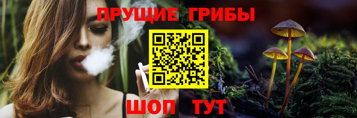 Псилоцибиновые грибы GOLDEN TEACHER Заводоуковск